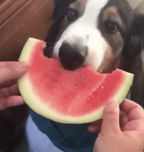 绅士吃瓜君,揭秘娱乐圈幕后真相