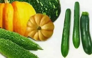 吃瓜王驰,揭秘娱乐圈背后的那些事儿