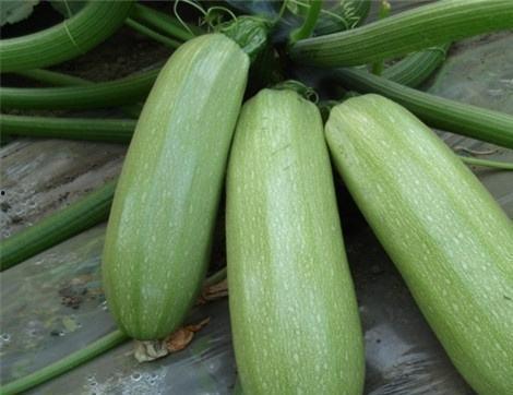 吃瓜余多多,揭秘娱乐圈那些不为人知的幕后故事