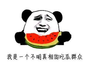 吃瓜牛的博主,网红博主背后的故事与影响力