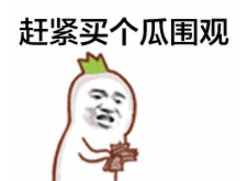 吃瓜群众发型推荐,轻松驾驭潮流，展现个性魅力