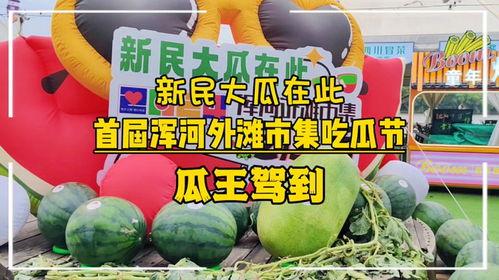 读书日吃瓜节,一场文化与娱乐的跨界狂欢