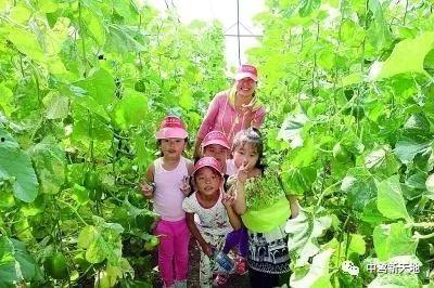 来地里找瓜吃,跟随足迹探寻最美瓜果之旅