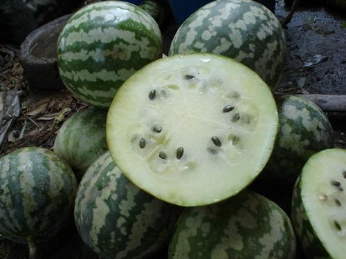 吃绿宝瓜拉肚子,美味与腹泻的微妙平衡