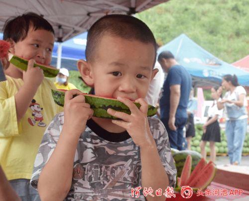 吃瓜上朝短剧,宫廷风云中的幽默喜剧