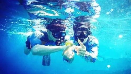 潜水吃瓜明星视频,揭秘潜水界的吃瓜趣事